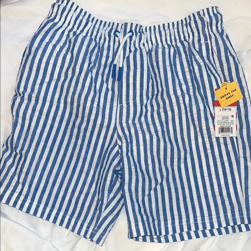 Blue Striped boy’s Swim Shorts